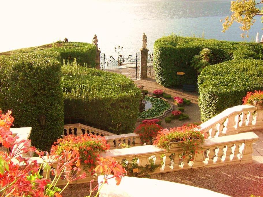Charming Glicine And Azalea House Art And Colour With Lakeview