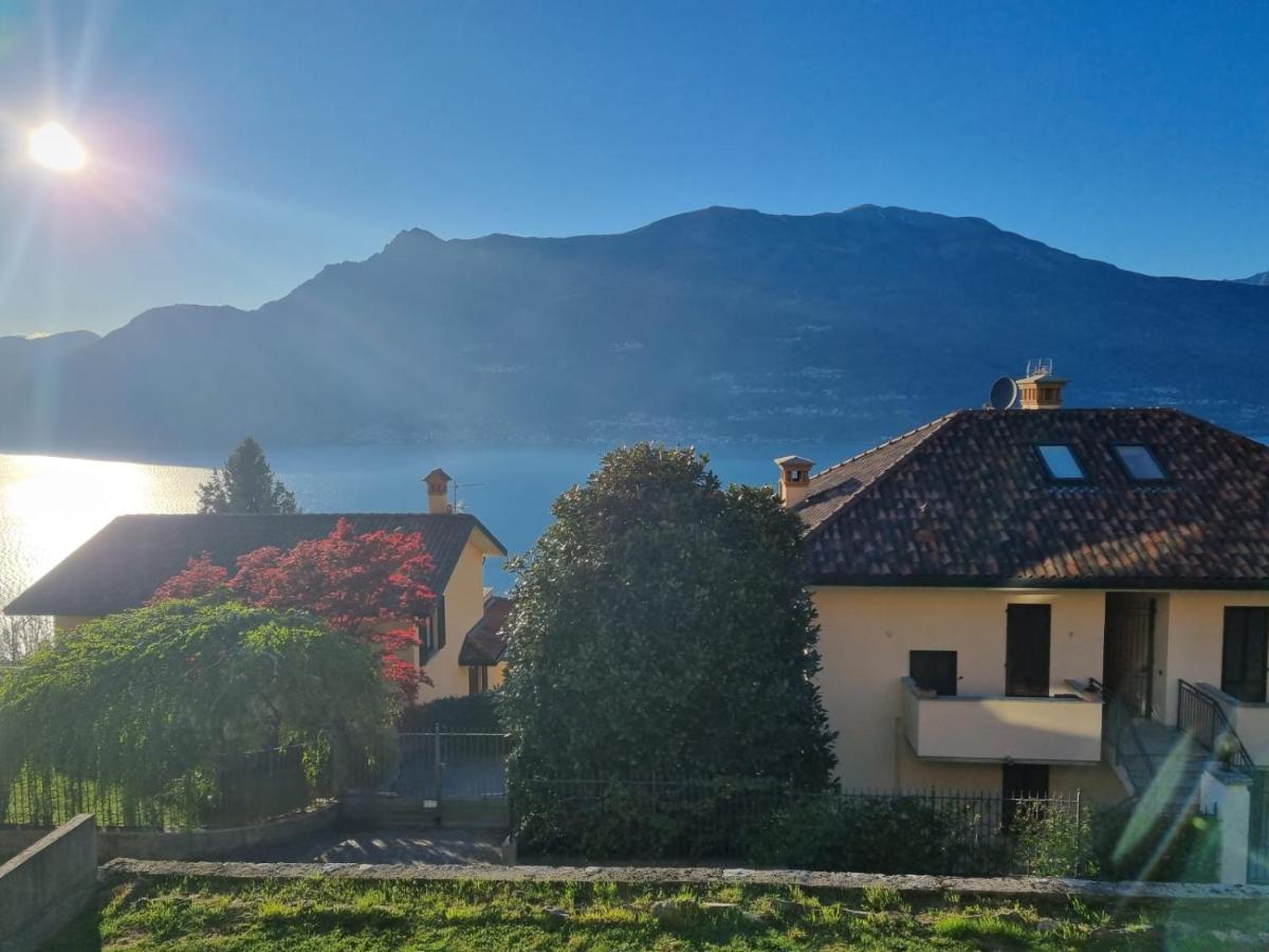 With Garden And Terrace Beautiful View