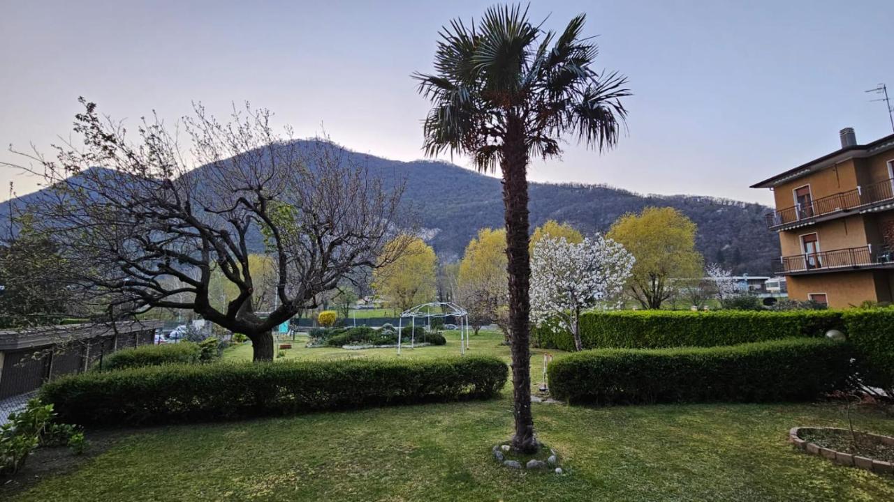 L'airone Cenerino *