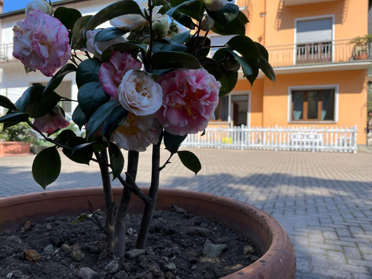 Holiday home Ca Del Fili Lenno