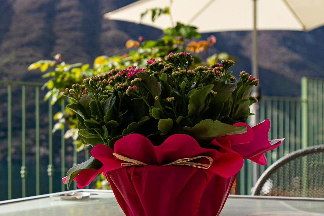 Apartment Romantic - Nesso