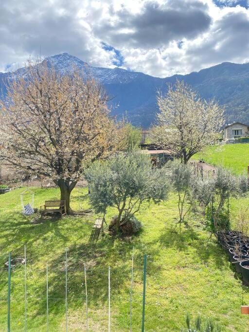 Il Giardino Dei Ciliegi Colico