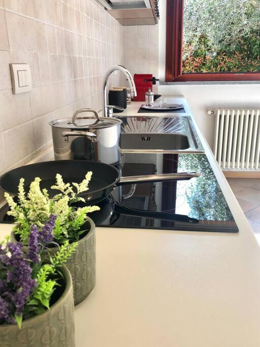 L'ulivo Di Apartment Como