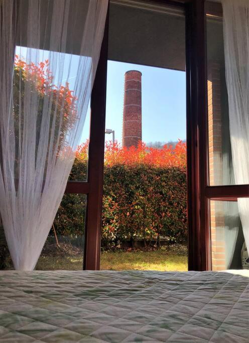 Apartment L'ulivo Di