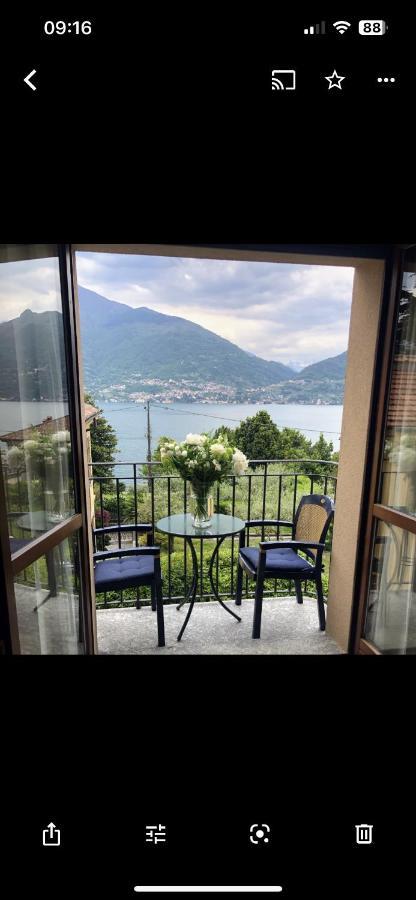 View Allegro *