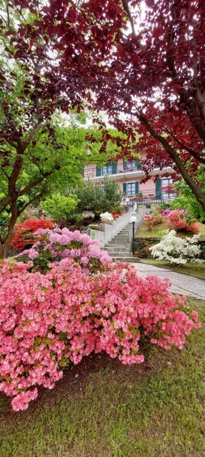 Bed & Breakfast Eden *