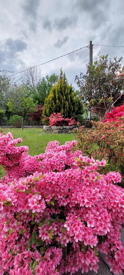 Eden Bed & Breakfast