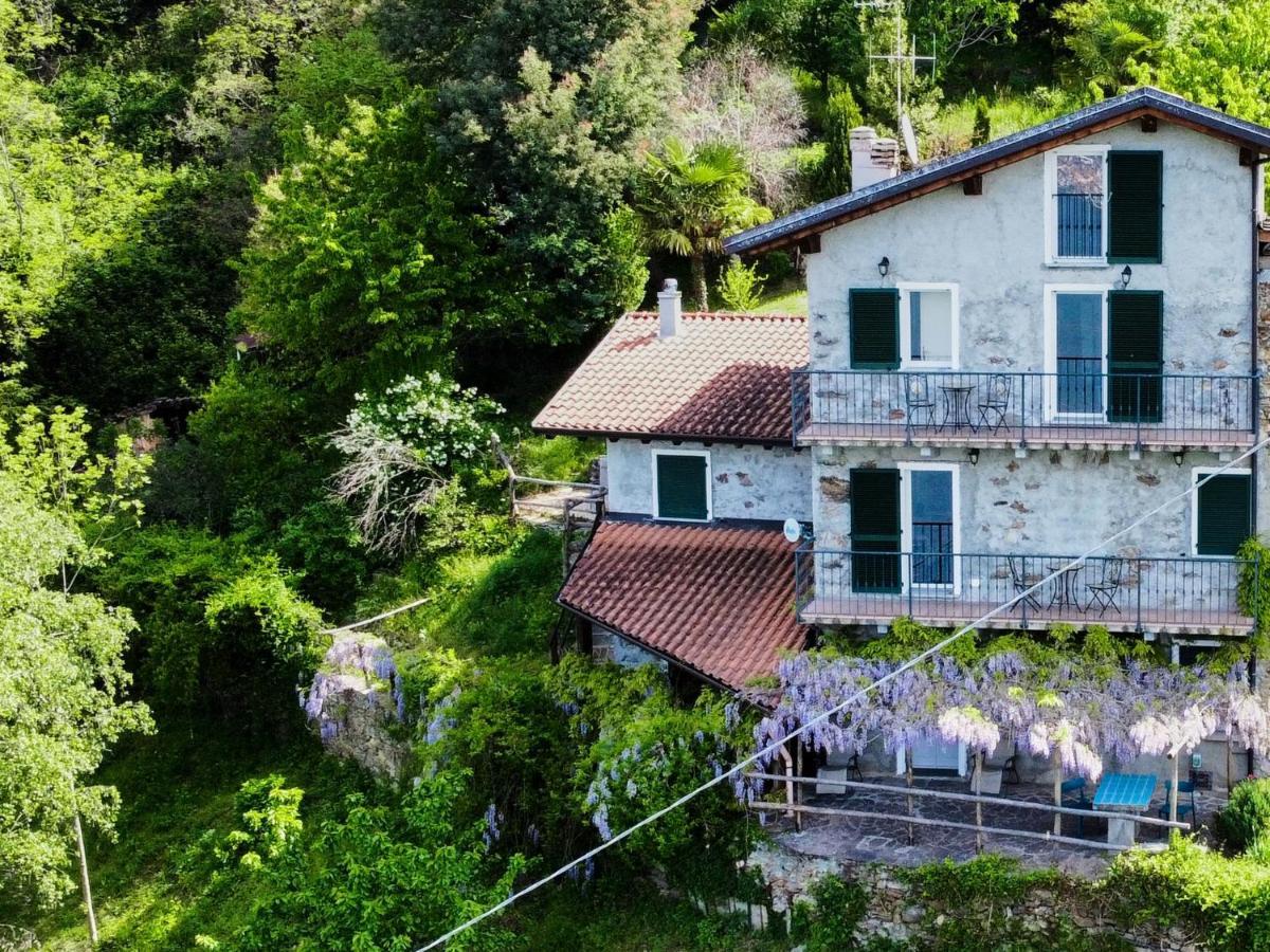 Apartment Oro Del Lario-2 By Interhome Bellano