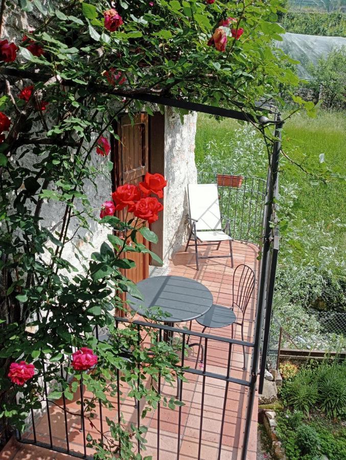 Guest house La Turr De Mezz 3*