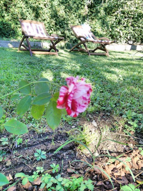 Bed & Breakfast Le Camelie 3*