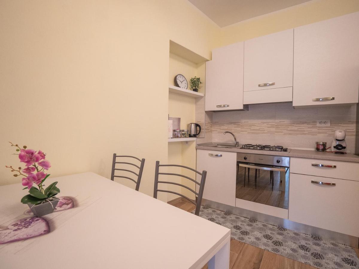 Camelia House Apartment