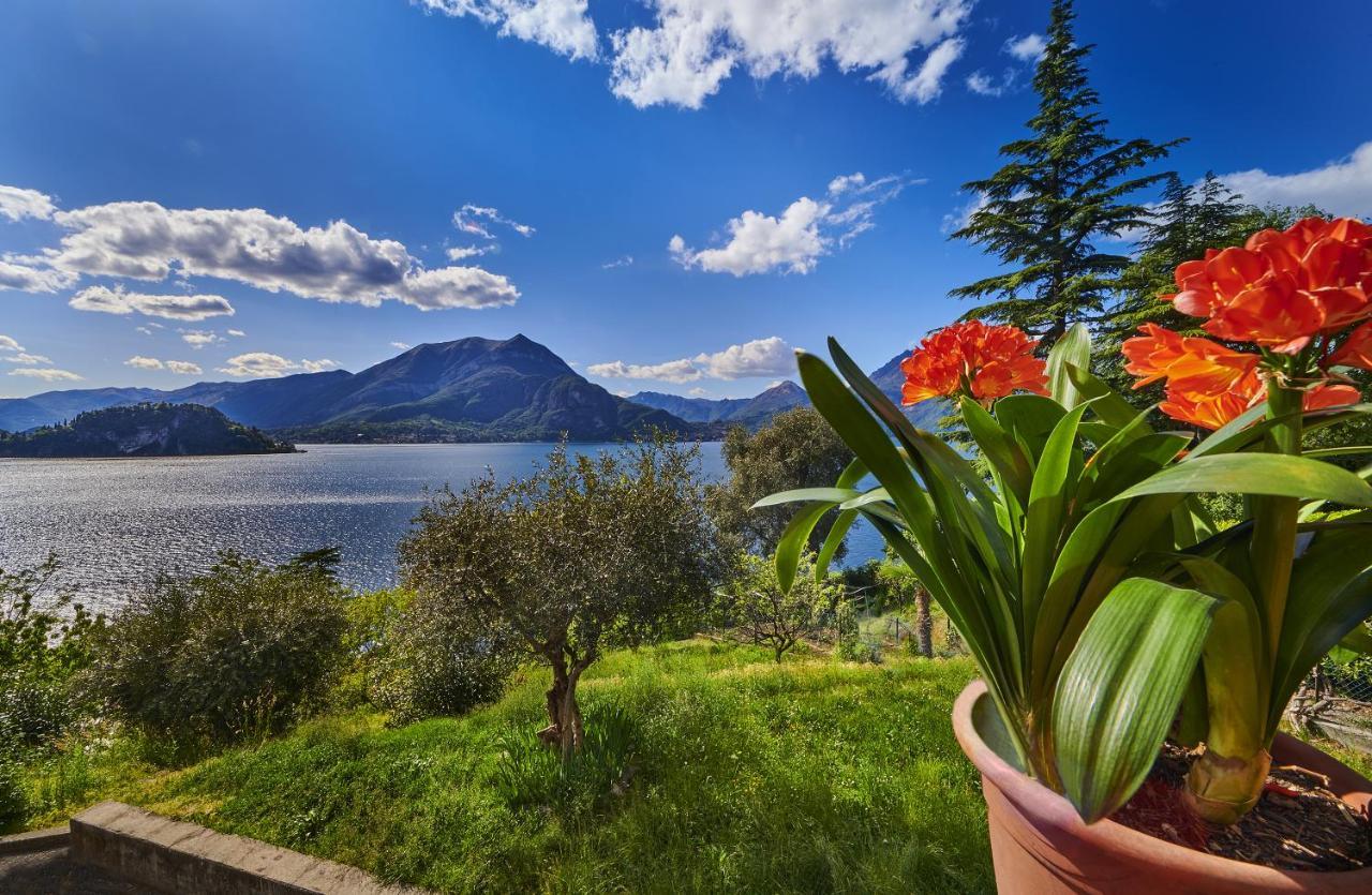 Casa Clivia *