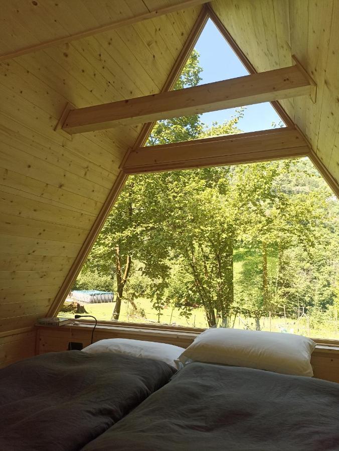 Farm stay Eleonora *