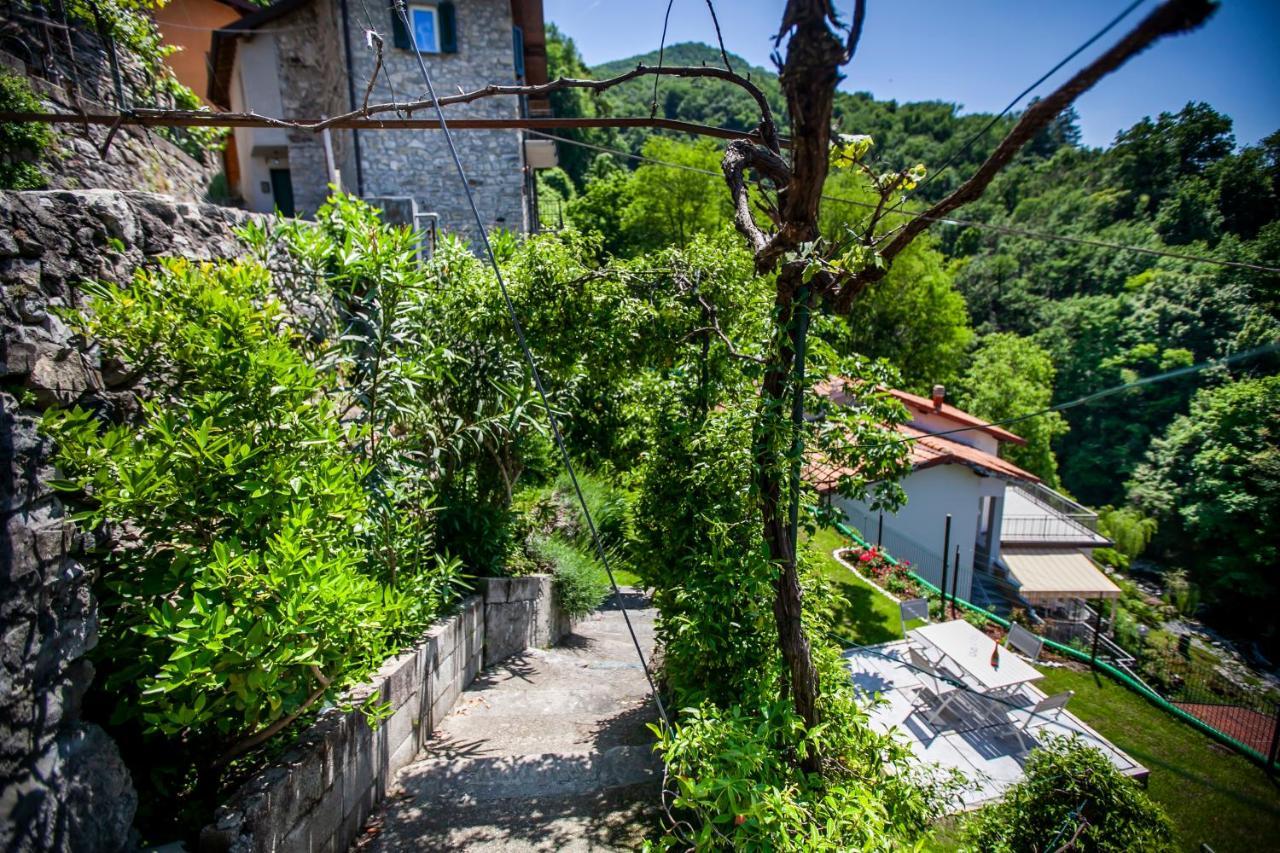 Il Giardino Di Nesso