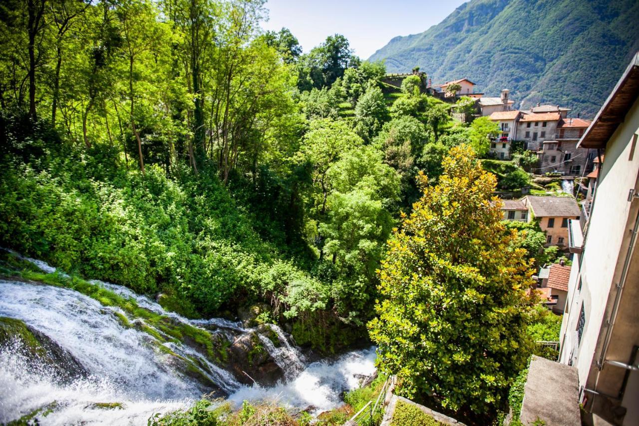Il Giardino Di * Nesso