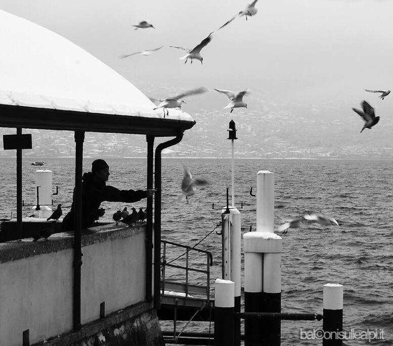 La Terrazza Vista * Bellano