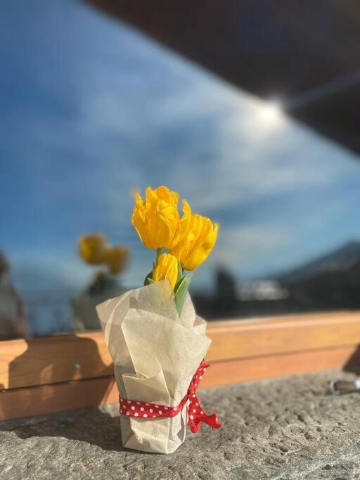 La Terrazza Vista