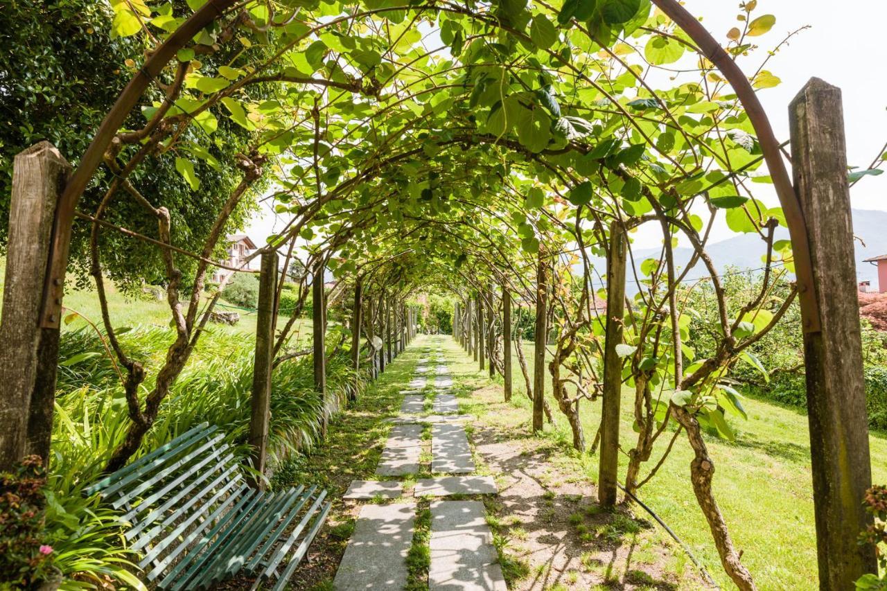 Pergola