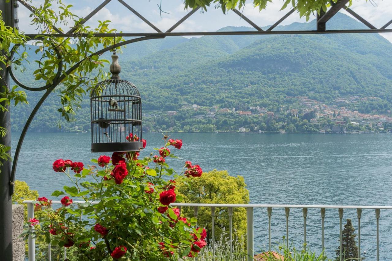 Vista Lario By Rent Appartamento Carate Urio