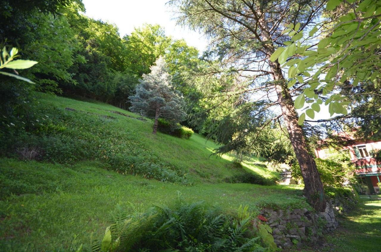 Villa Ranierihome