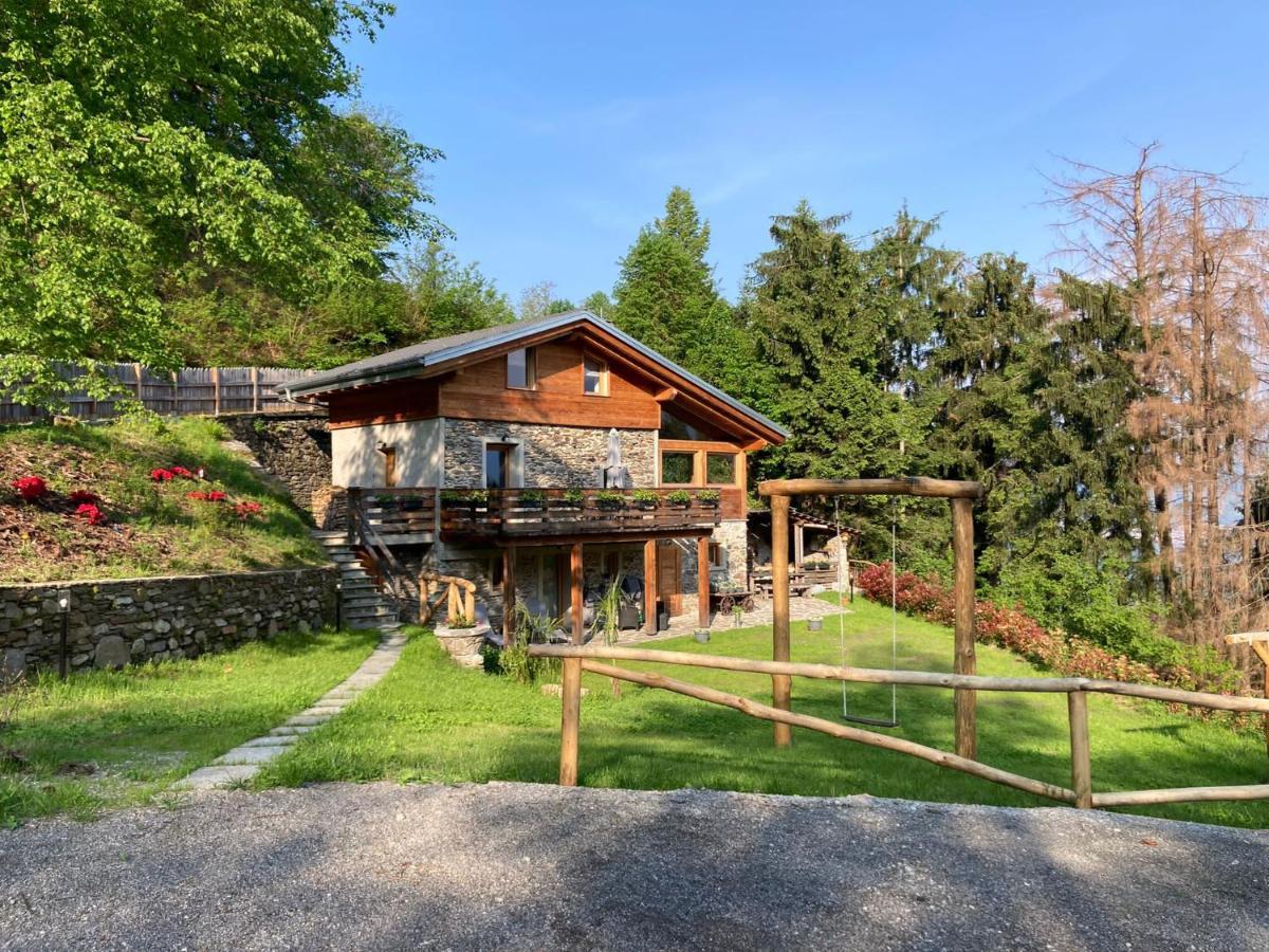 Cozy Nature House *