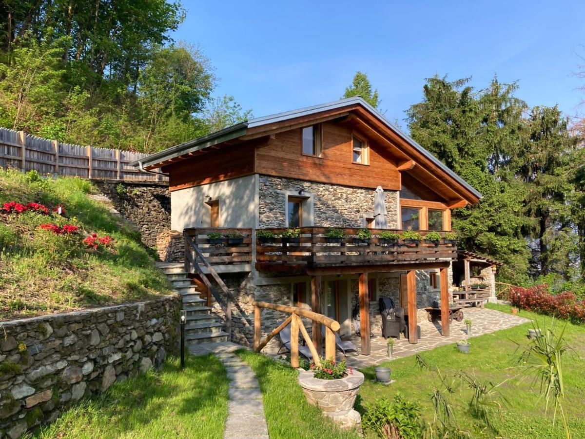 Cozy Nature House *