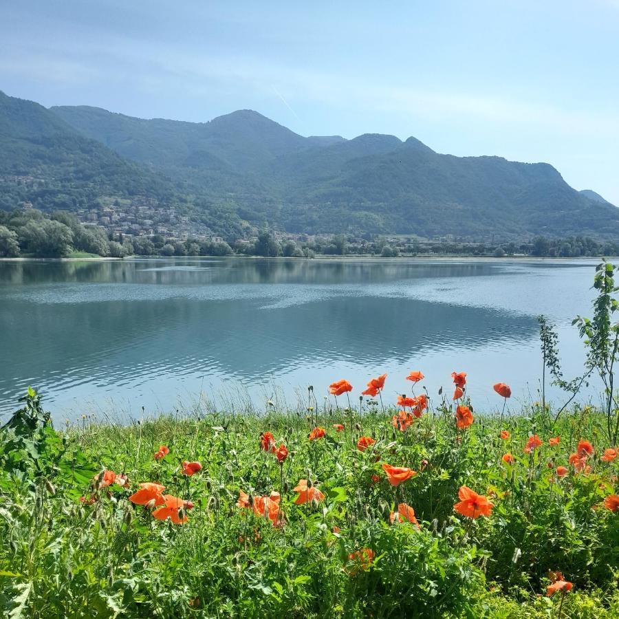La Terrazza Di Basilio Appartamento *