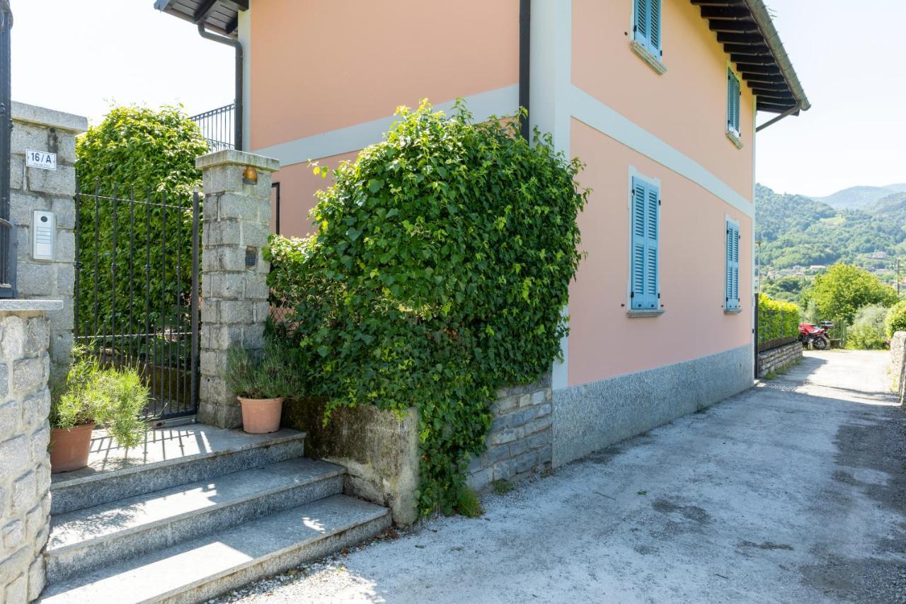 With Garden And Parking Apartment