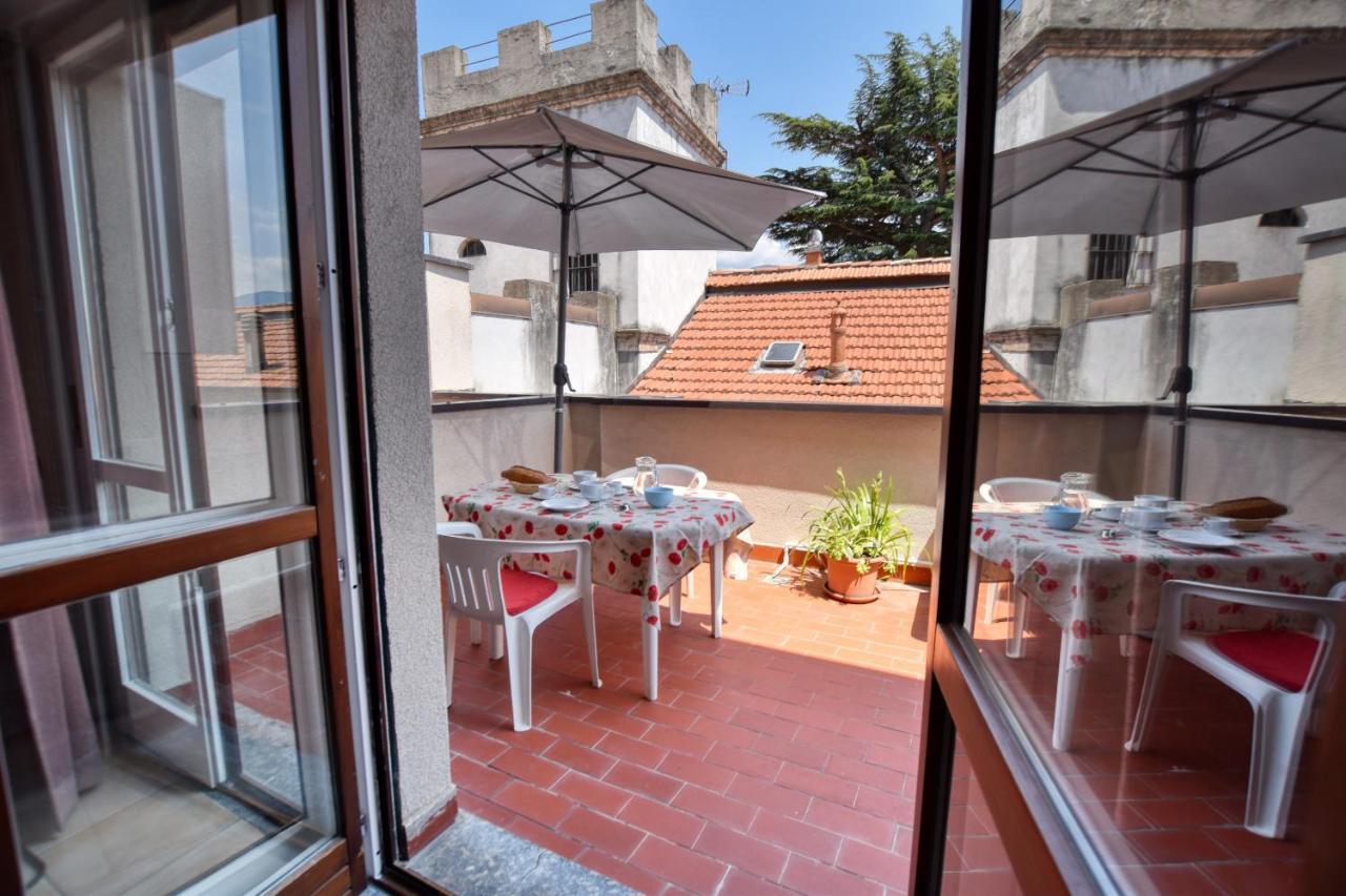 Cipresso 22