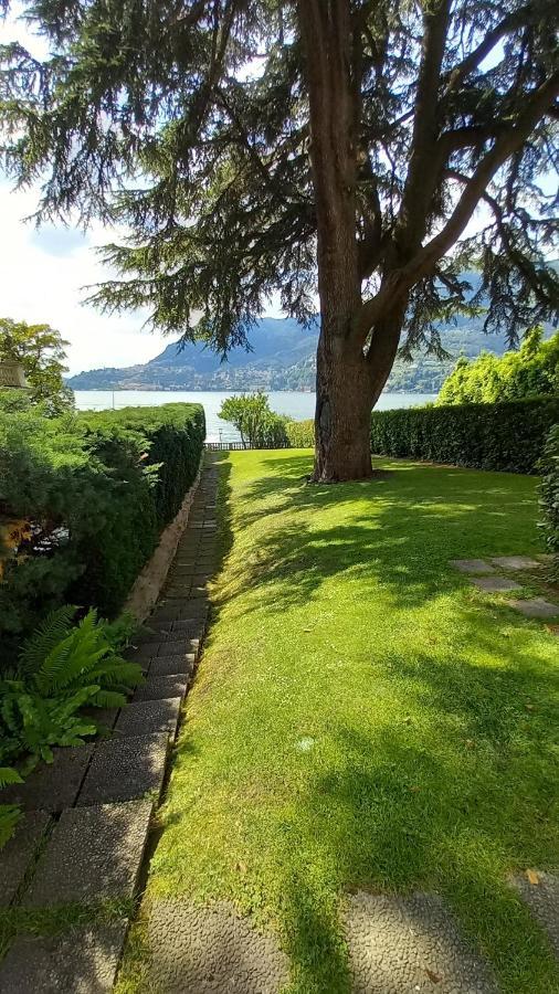 Magnolia In Cademartori *