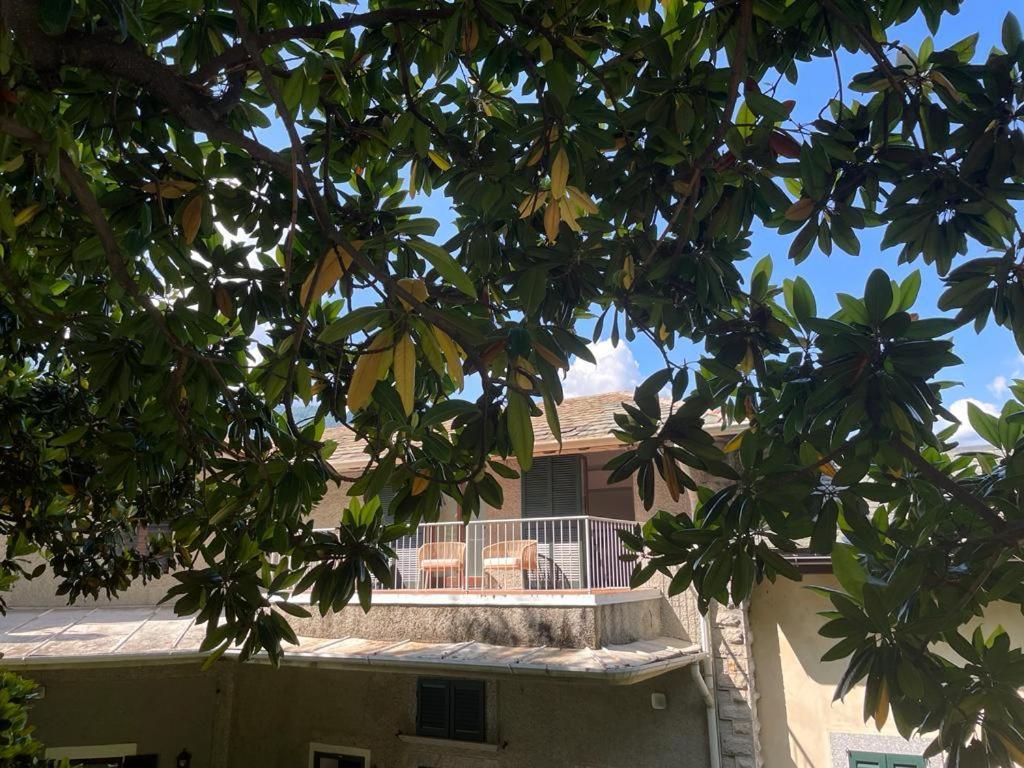 Apartment Magnolia In Cademartori *