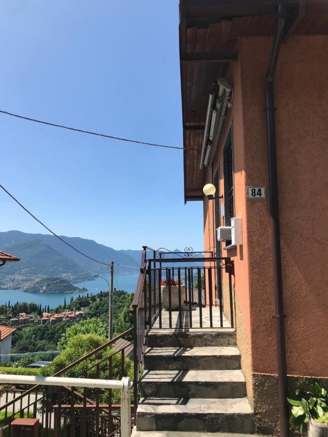 Chiaro Di Luna Perledo