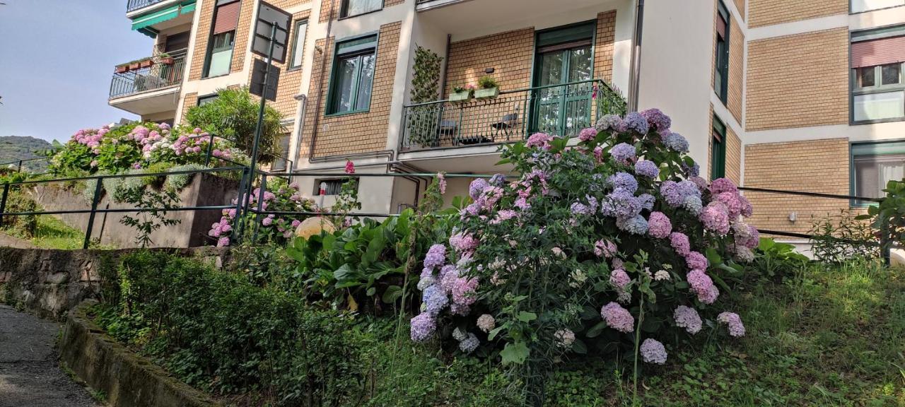 Melody's House Apartment