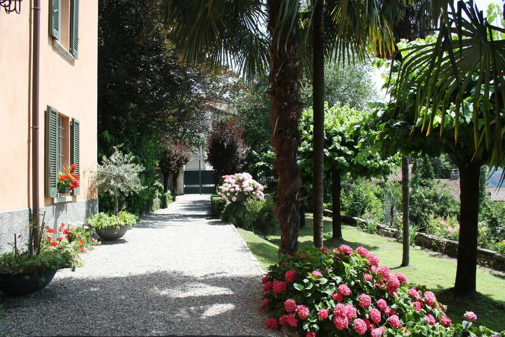 Antico Glicine * Maslianico