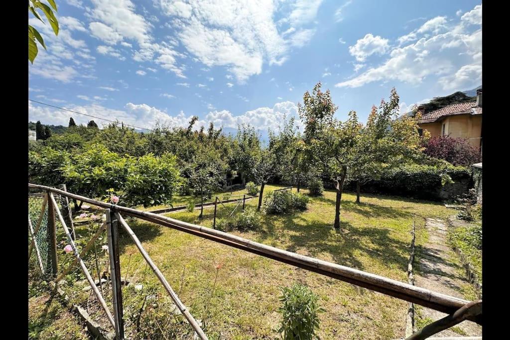 Gioia Del - *