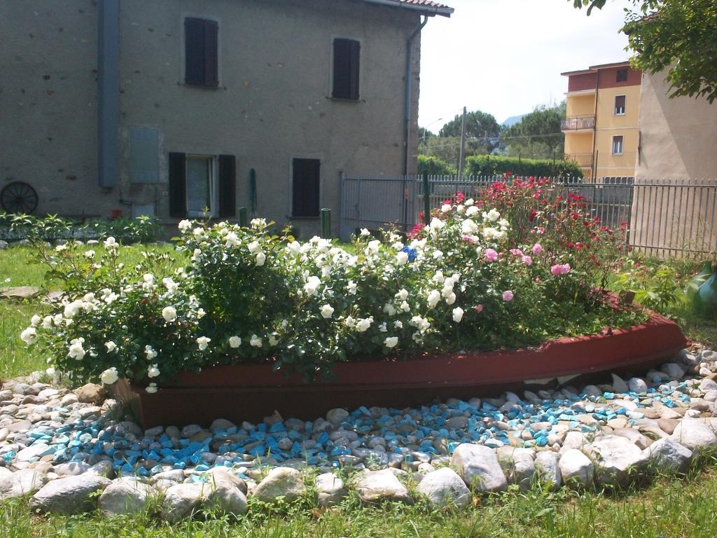 B&B Agrifarm *