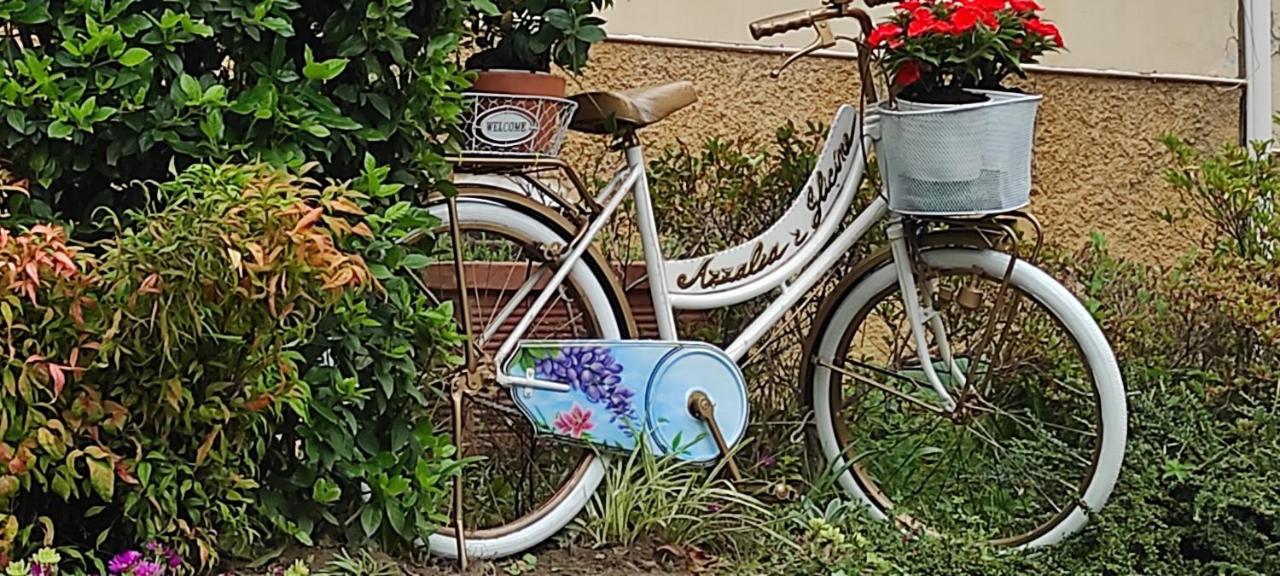 Charming Glicine And Azalea House Art And Colour With Lakeview Cadenabbia