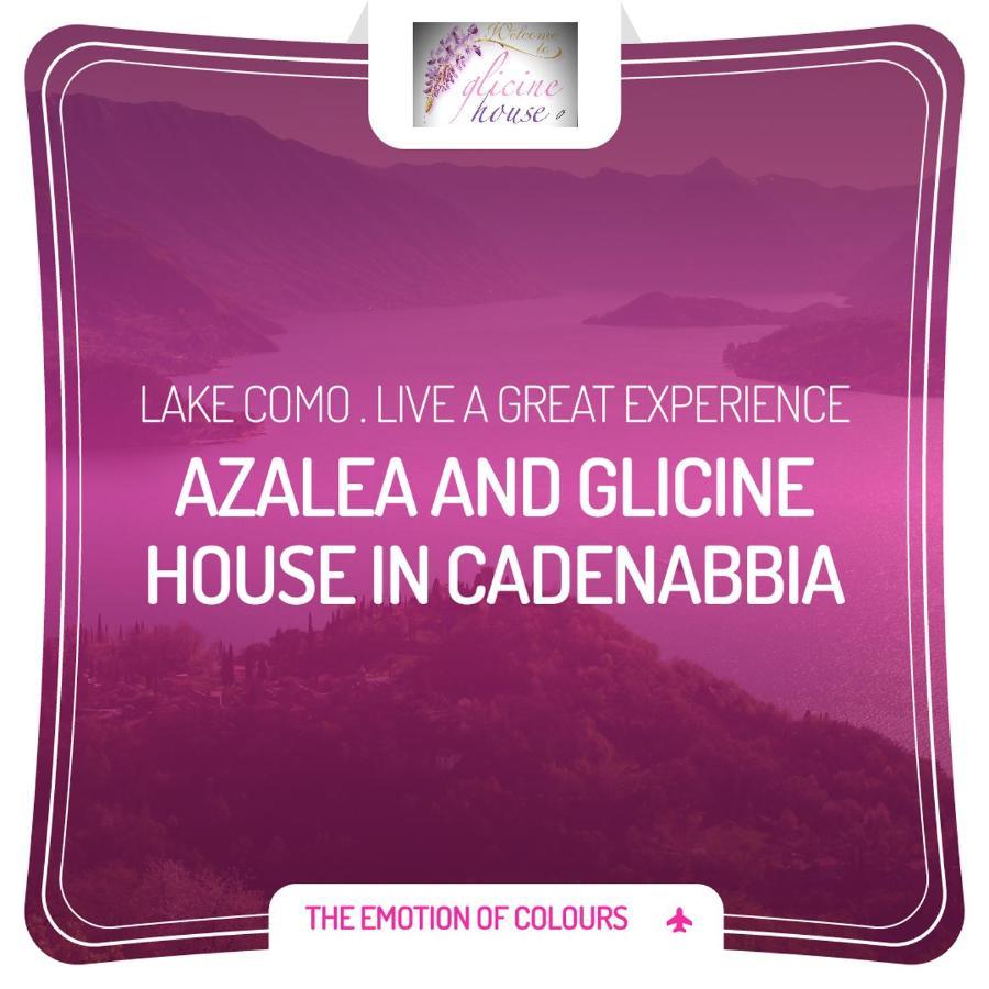 Charming Glicine And Azalea House Art And Colour With Lakeview