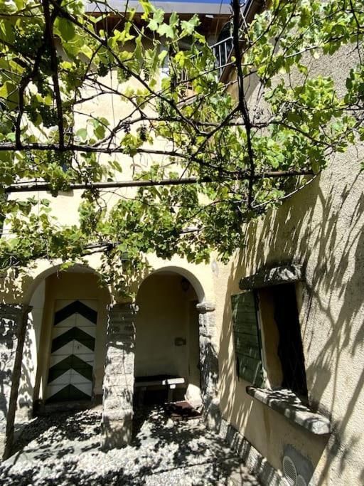 Casa vacanze La Dimora Degli Olivi Galbiate