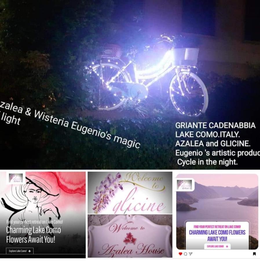 Charming Glicine And Azalea House Art And Colour With Lakeview * Cadenabbia
