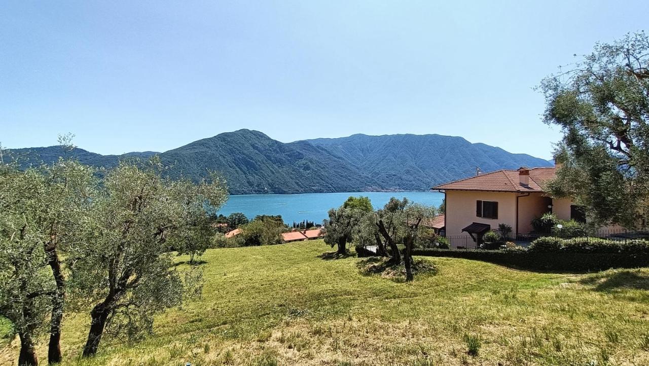 Apartment Casa Del Net -