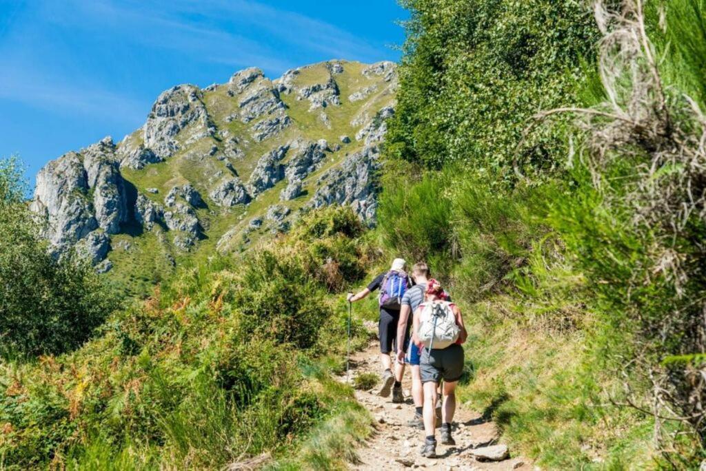 Tenuta Il Sogno Bianco Montemezzo