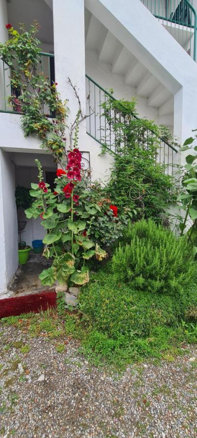Apartment Da Ersilia