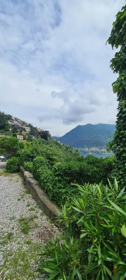 Da Ersilia Cernobbio