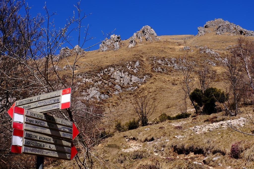 Rifugio Soldanella Hotel 3*