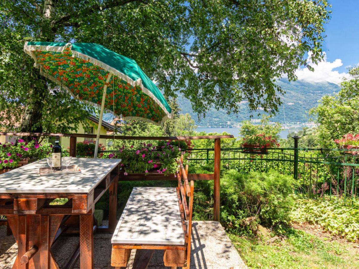 Apartment Nel Castagneto By Interhome