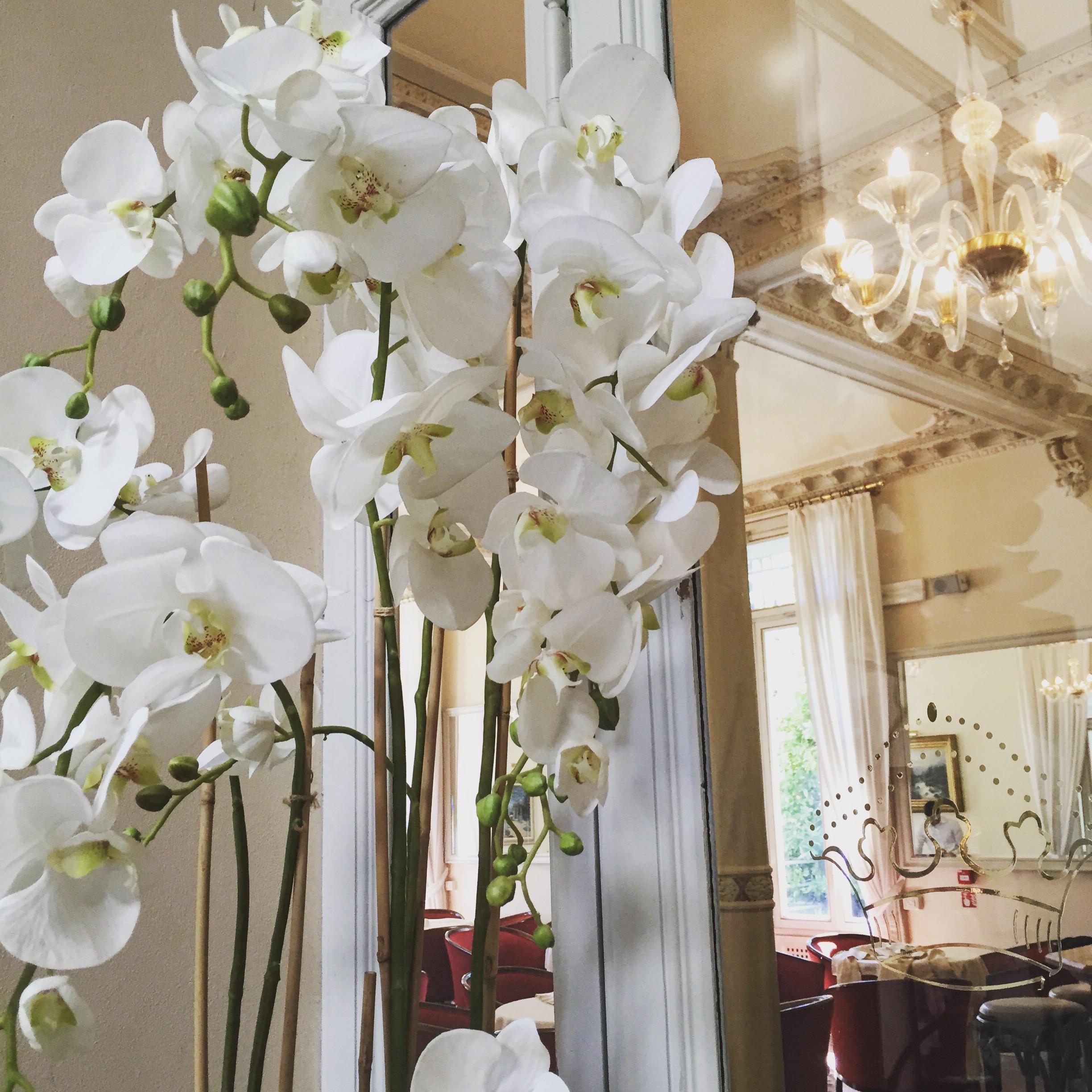 Grand Imperiale & Moltrasio