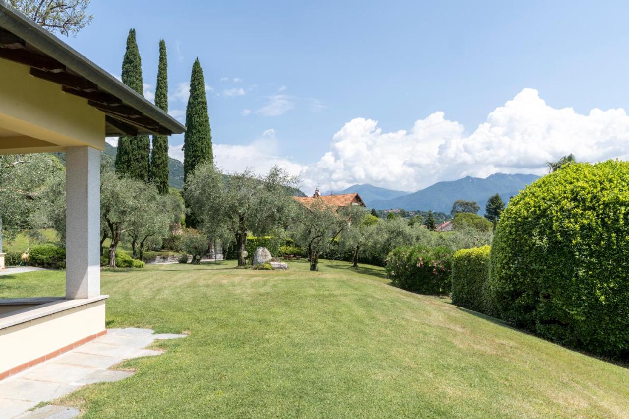 Lakeview Olive Trees - Pool And Covered Parking *