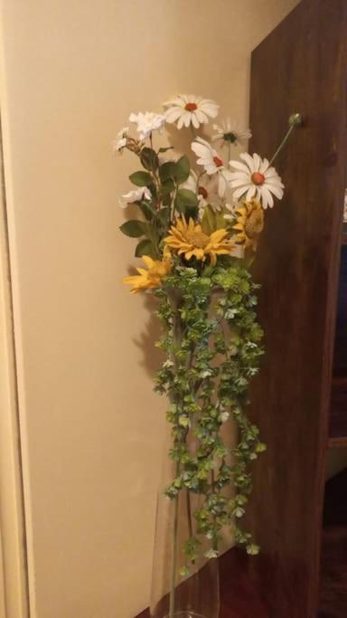 Apartment Daisy In Centro A Como
