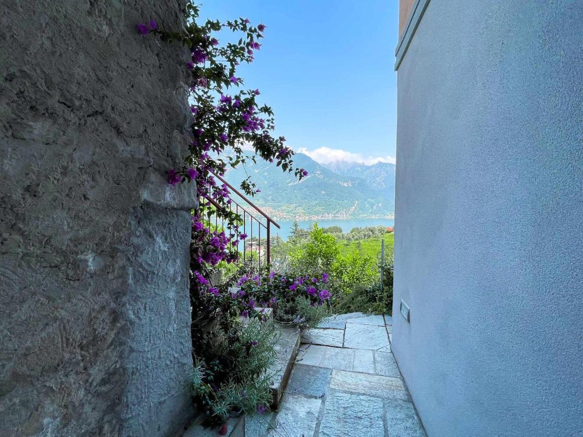 Apartment Antico Torchio